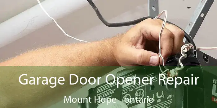 Garage Door Opener Repair Mount Hope - ontario