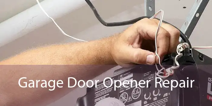 Garage Door Opener Repair 