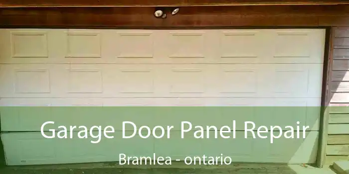 Garage Door Panel Repair Bramlea - ontario