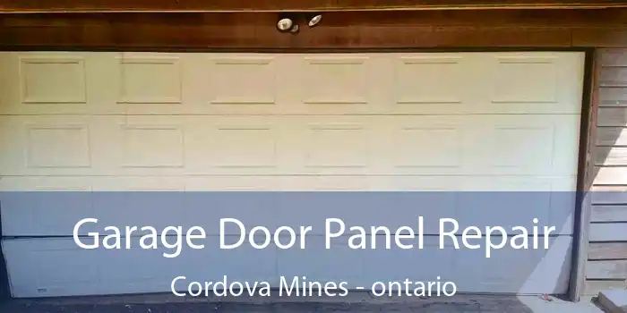 Garage Door Panel Repair Cordova Mines - ontario