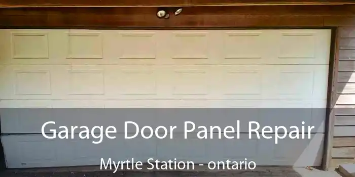 Garage Door Panel Repair Myrtle Station - ontario