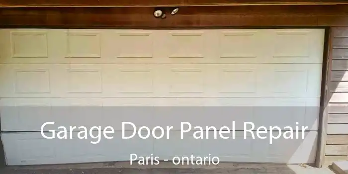 Garage Door Panel Repair Paris - ontario
