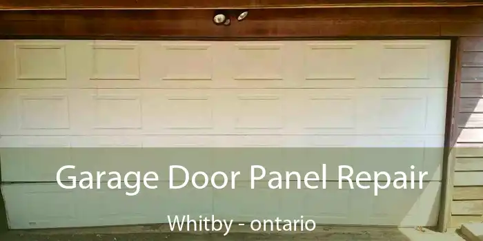 Garage Door Panel Repair Whitby - ontario