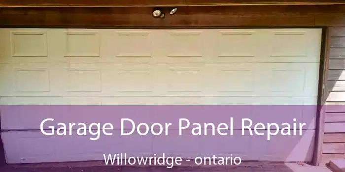Garage Door Panel Repair Willowridge - ontario
