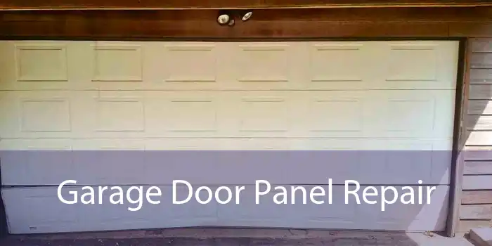 Garage Door Panel Repair 