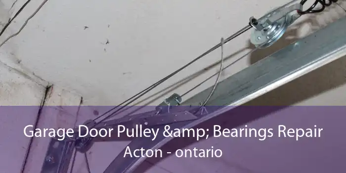 Garage Door Pulley & Bearings Repair Acton - ontario