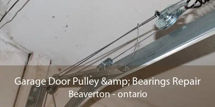 Garage Door Pulley & Bearings Repair Beaverton - ontario