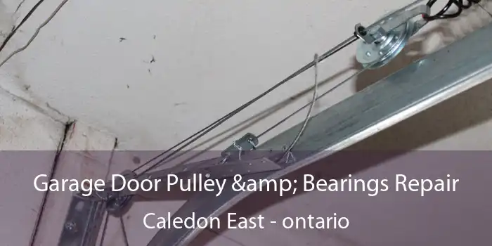 Garage Door Pulley & Bearings Repair Caledon East - ontario