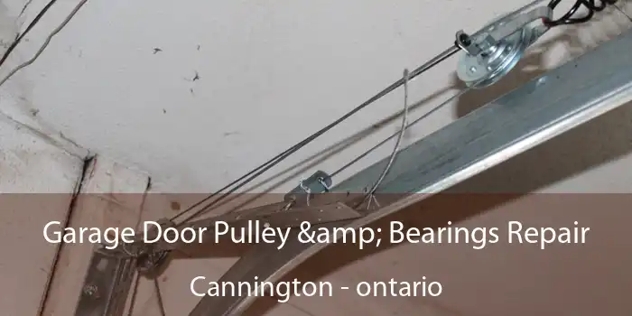Garage Door Pulley & Bearings Repair Cannington - ontario