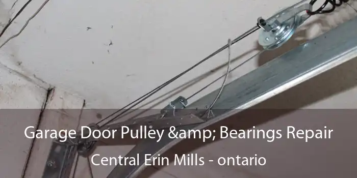 Garage Door Pulley & Bearings Repair Central Erin Mills - ontario