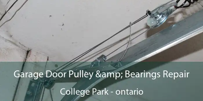 Garage Door Pulley & Bearings Repair College Park - ontario