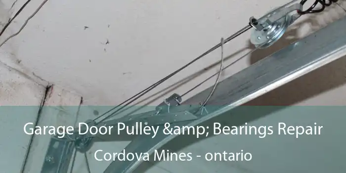 Garage Door Pulley & Bearings Repair Cordova Mines - ontario