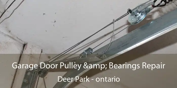 Garage Door Pulley & Bearings Repair Deer Park - ontario