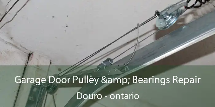Garage Door Pulley & Bearings Repair Douro - ontario