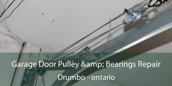 Garage Door Pulley & Bearings Repair Drumbo - ontario