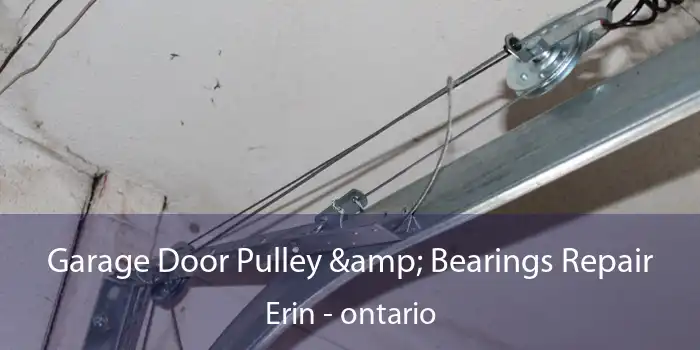 Garage Door Pulley & Bearings Repair Erin - ontario