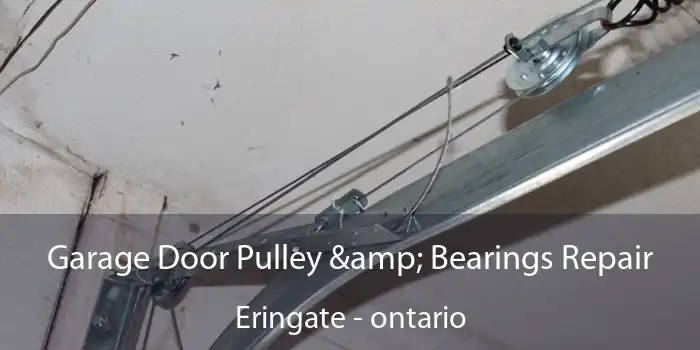 Garage Door Pulley & Bearings Repair Eringate - ontario