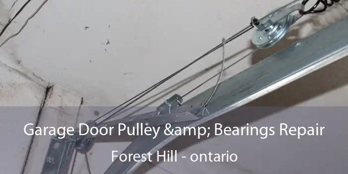 Garage Door Pulley & Bearings Repair Forest Hill - ontario