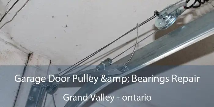 Garage Door Pulley & Bearings Repair Grand Valley - ontario