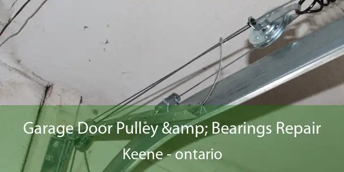 Garage Door Pulley & Bearings Repair Keene - ontario