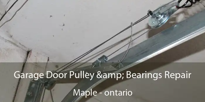 Garage Door Pulley & Bearings Repair Maple - ontario