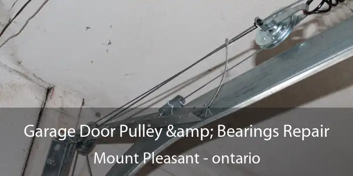 Garage Door Pulley & Bearings Repair Mount Pleasant - ontario