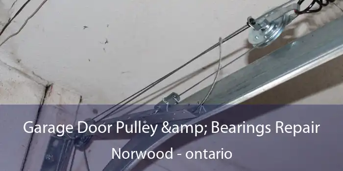 Garage Door Pulley & Bearings Repair Norwood - ontario