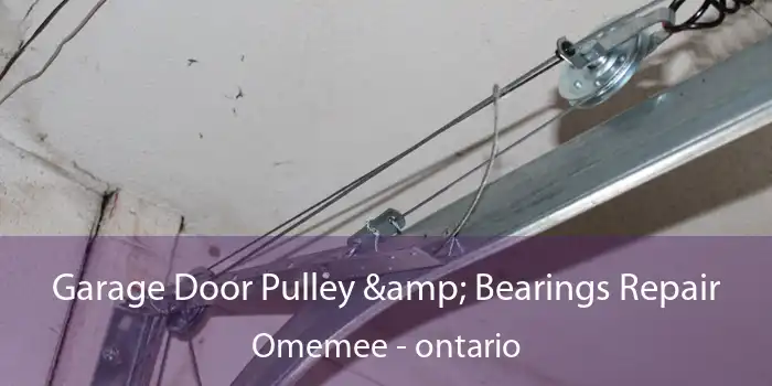 Garage Door Pulley & Bearings Repair Omemee - ontario