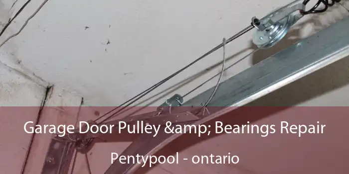 Garage Door Pulley & Bearings Repair Pentypool - ontario