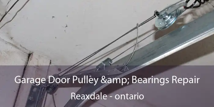 Garage Door Pulley & Bearings Repair Reaxdale - ontario