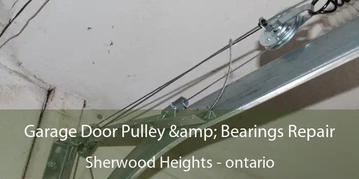 Garage Door Pulley & Bearings Repair Sherwood Heights - ontario