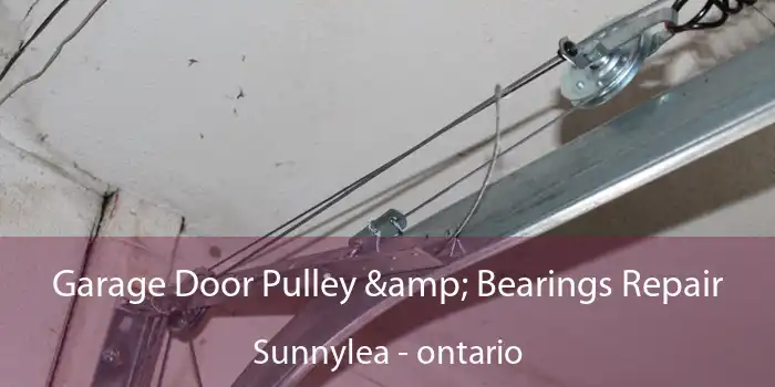 Garage Door Pulley & Bearings Repair Sunnylea - ontario