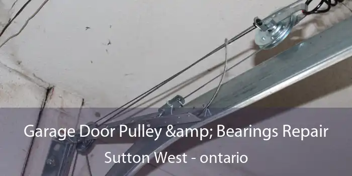 Garage Door Pulley & Bearings Repair Sutton West - ontario