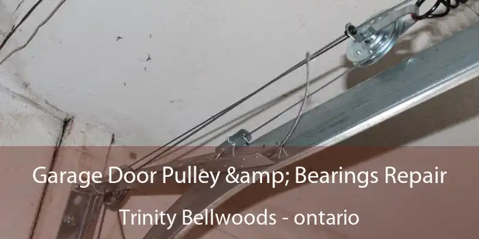 Garage Door Pulley & Bearings Repair Trinity Bellwoods - ontario