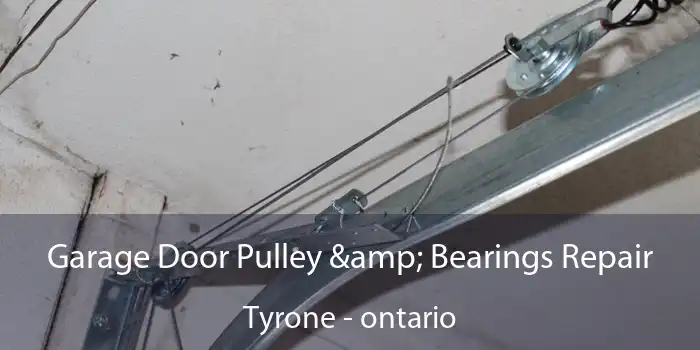 Garage Door Pulley & Bearings Repair Tyrone - ontario