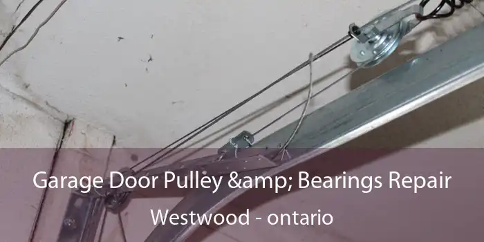 Garage Door Pulley & Bearings Repair Westwood - ontario