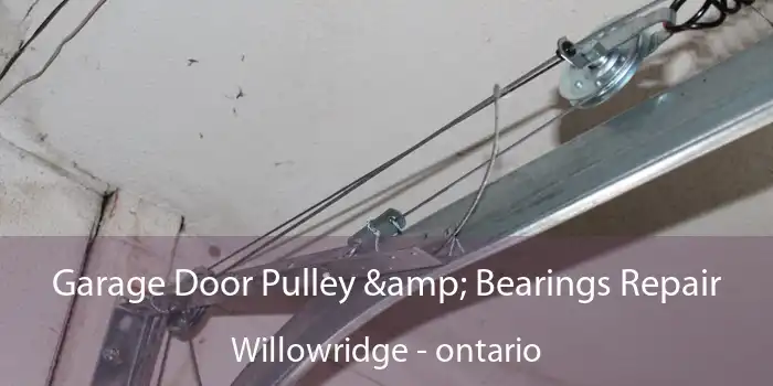 Garage Door Pulley & Bearings Repair Willowridge - ontario