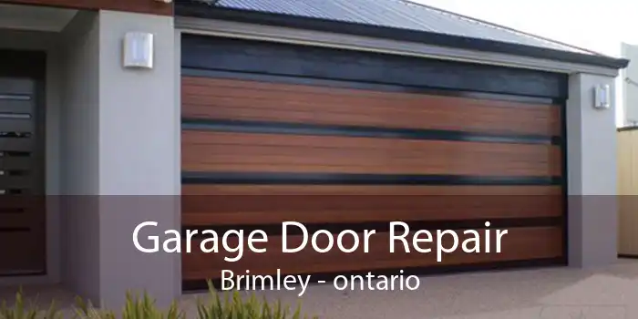 Garage Door Repair Brimley - ontario