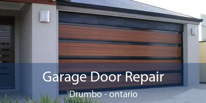 Garage Door Repair Drumbo - ontario