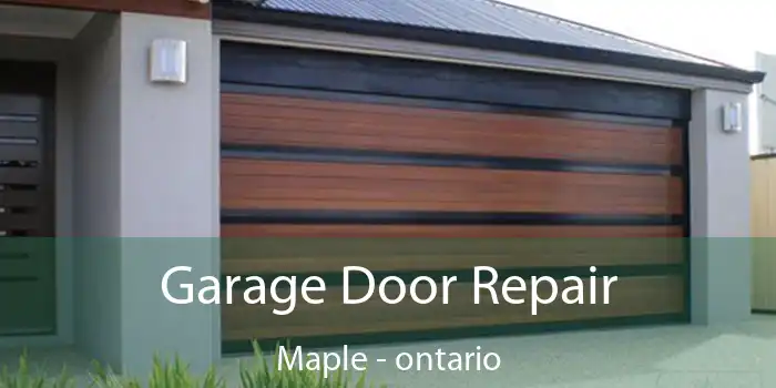 Garage Door Repair Maple - ontario