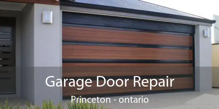Garage Door Repair Princeton - ontario