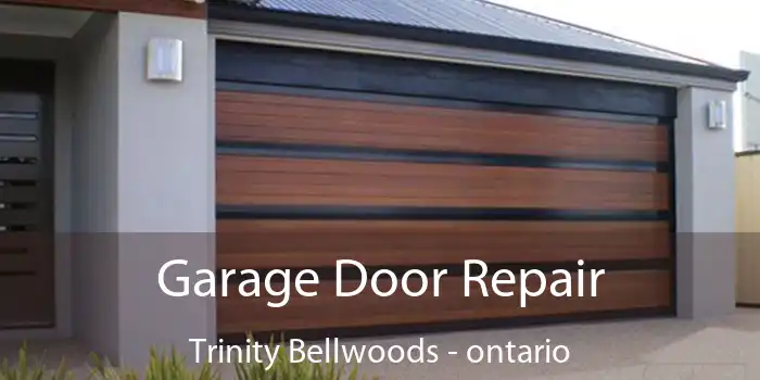 Garage Door Repair Trinity Bellwoods - ontario
