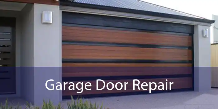 Garage Door Repair 
