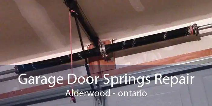 Garage Door Springs Repair Alderwood - ontario