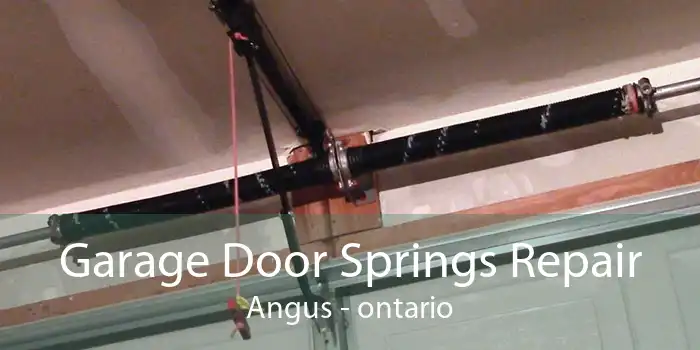 Garage Door Springs Repair Angus - ontario