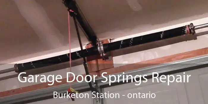Garage Door Springs Repair Burketon Station - ontario