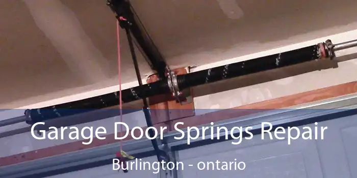 Garage Door Springs Repair Burlington - ontario