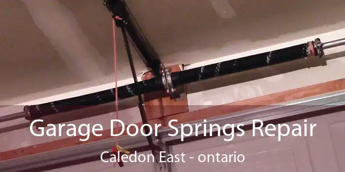 Garage Door Springs Repair Caledon East - ontario