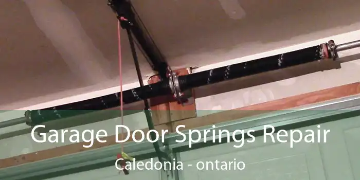 Garage Door Springs Repair Caledonia - ontario