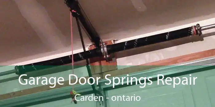 Garage Door Springs Repair Carden - ontario